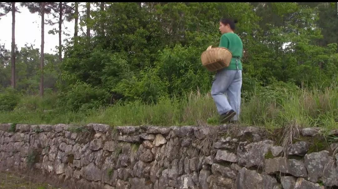 既然物质堆砌的世界，换不来真正的快乐，那么，趁有生之年，尽情的寄情于山水吧，居陋