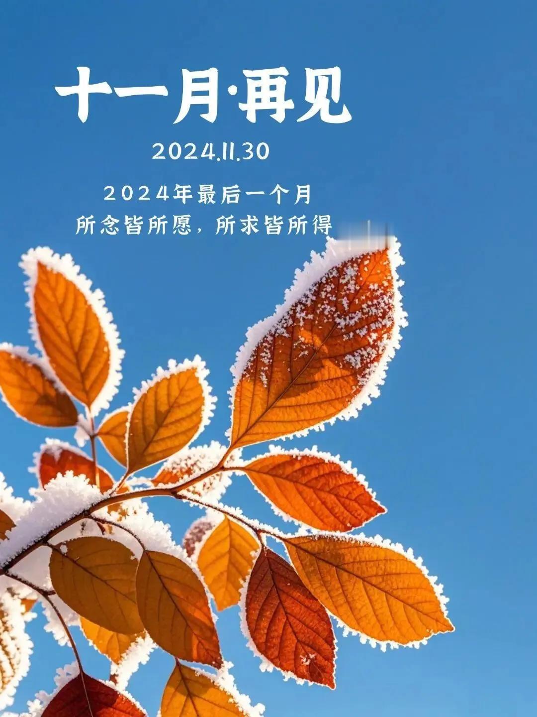 ❄️❄️❄️
不知不觉
十一月就走到尾声了
2024剩下最后一个月了
日子日复一