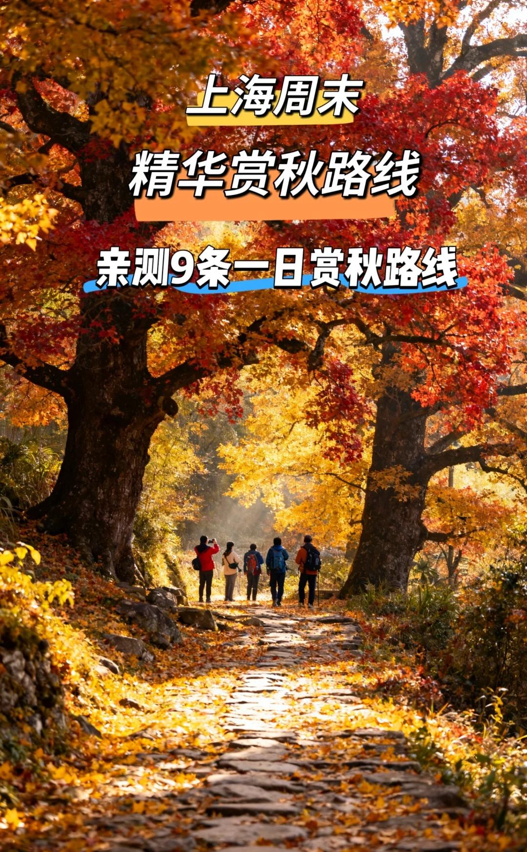 沪郊秋日漫游指南｜上海周边9处赏秋圣地
以下路线今年我们也都会去，有兴趣的小伙伴