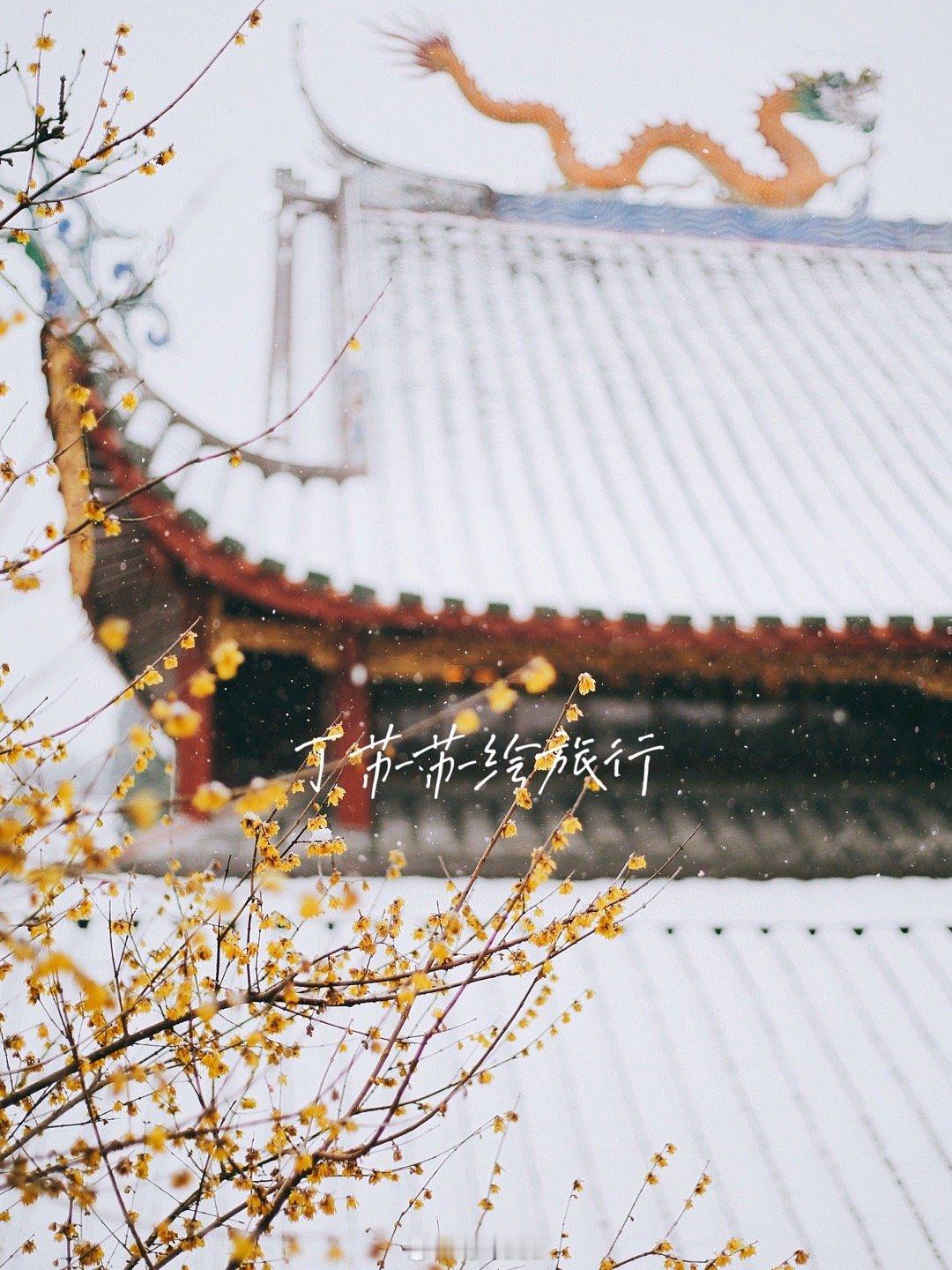 福州周边雪景雾凇8️⃣个免费美景1️⃣仙风山，这两天山顶有下雪，预计这几天低温还