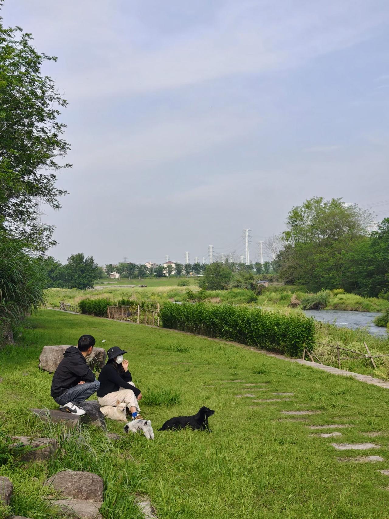 （随拍随言）
金华的绿野仙踪[微笑]，你知道在哪吗？