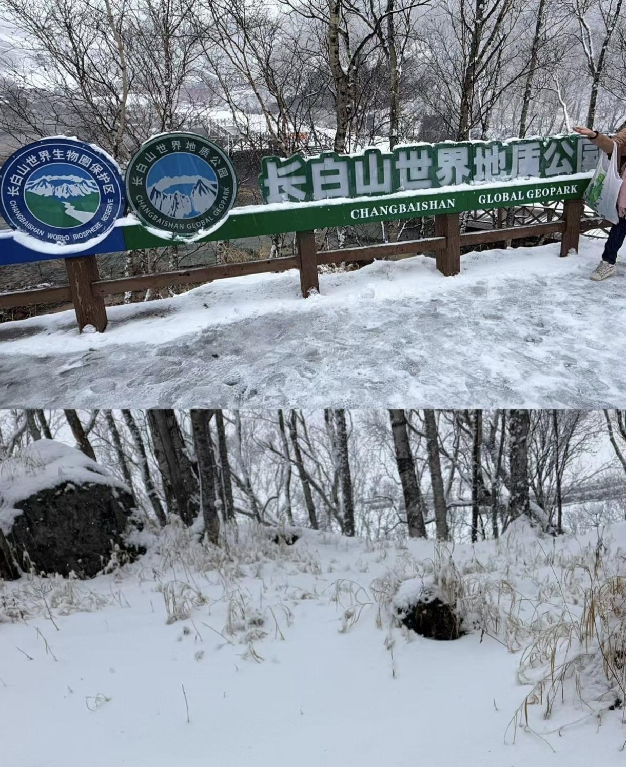 广州的退休人员去长白山体验下雪的冷