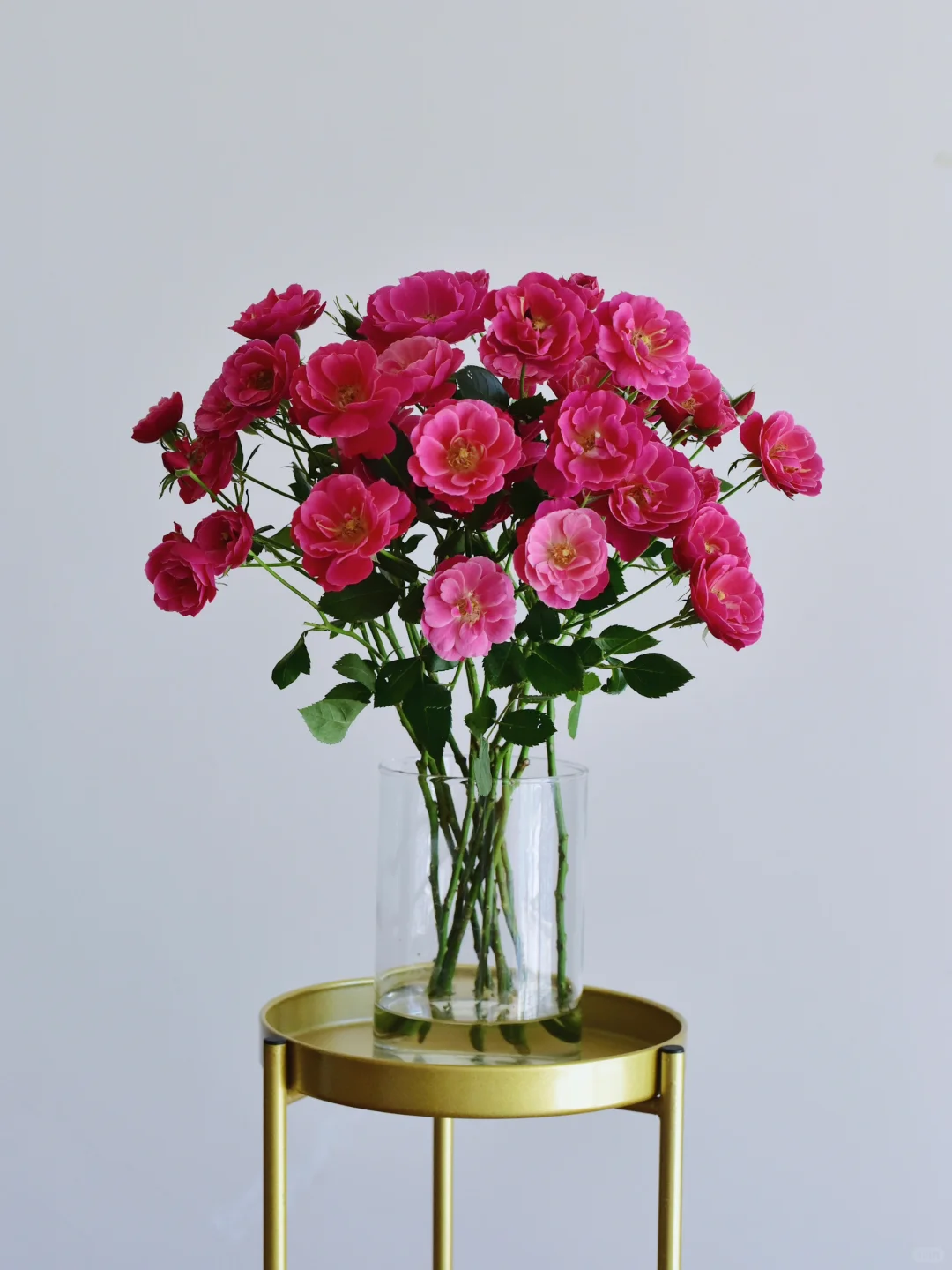 玫瑰·西子伊人