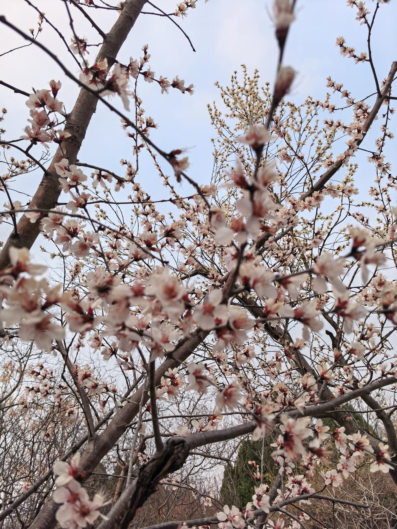 晒图笔记大赛坚持到底就是胜利
