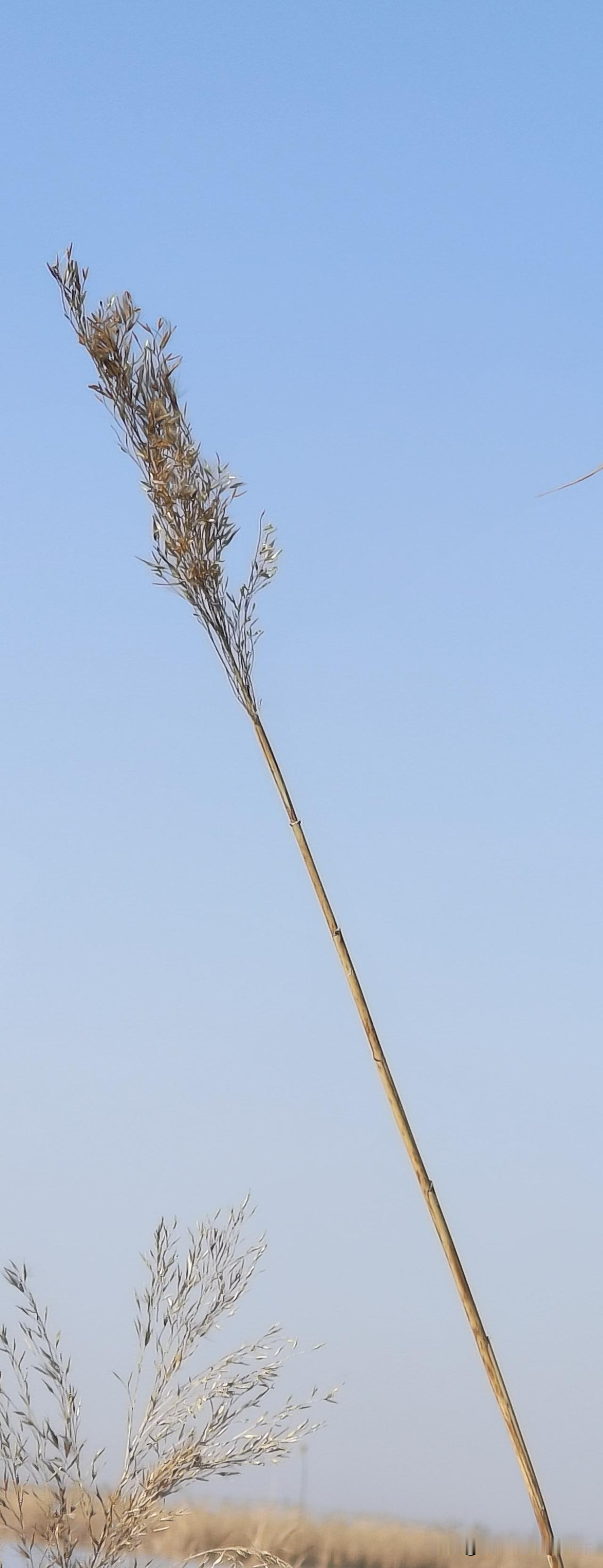 今天打车打了个寂寞[爱慕]。

下班去扫墓，为了节约时间准备打出租去。

从家里