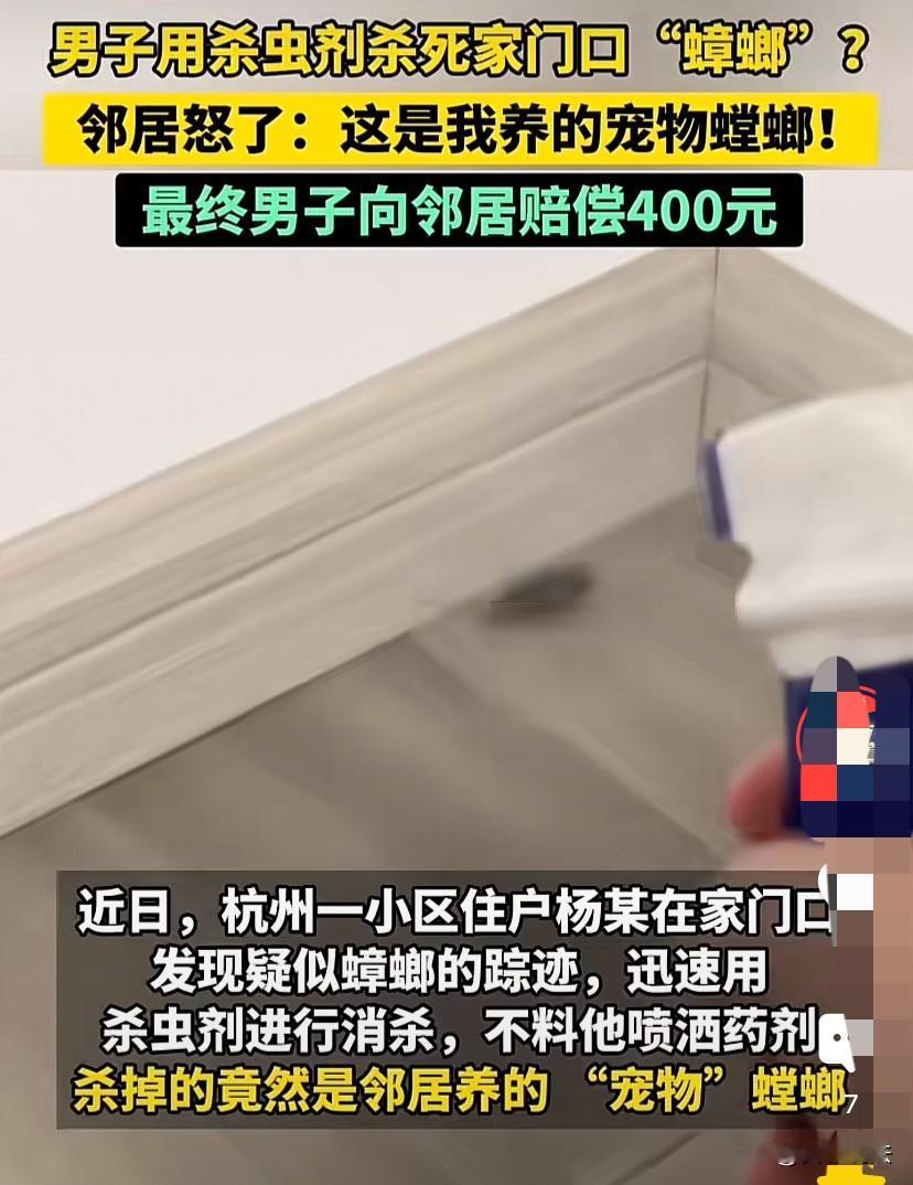 “离大谱!”浙江杭州，男子在家门口看到两只大“蟑螂”吓了一跳，赶紧回家拿杀虫剂进
