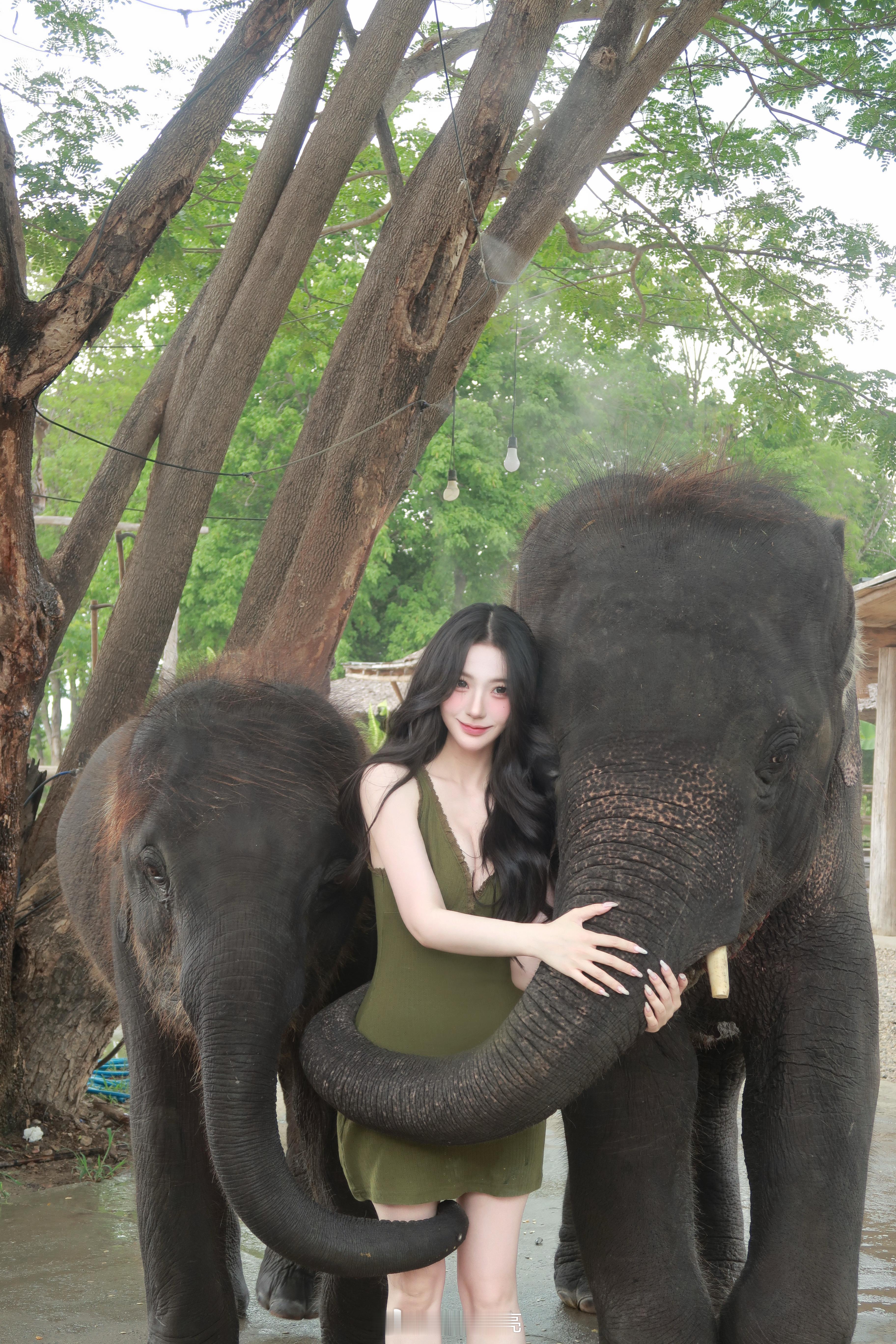 elephant hug🐘𓏸 𓂂 𓈒第七张吓得眼睛都没打开 