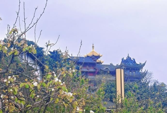 𝑪𝒉𝒐𝒏𝒈𝒒𝒊𝒏𝒈
再次踏上这片土地，心底那句老话又浮上来：“