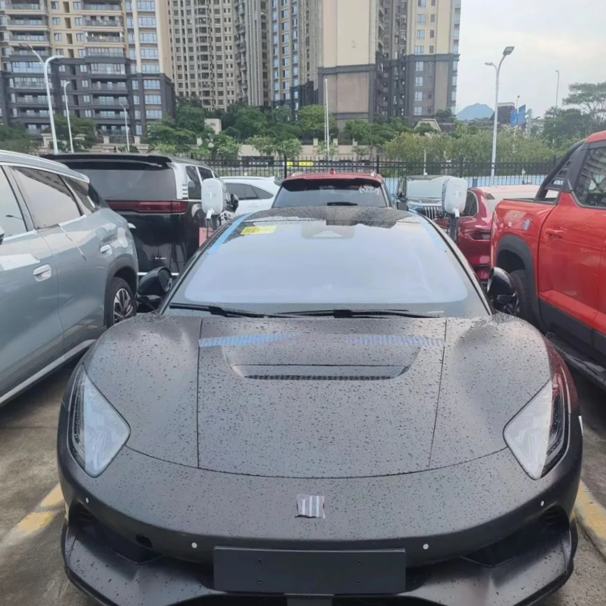 比亚迪 比亚迪 Denza Z 无伪装实车图 
