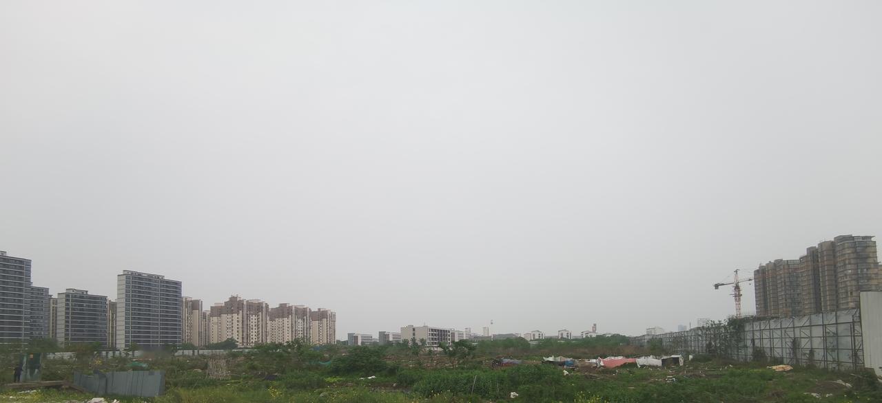 这块地锦上闲着已有5-6年了，不如让给浙江商贸学院。浙江商贸学院东校区已没有空地