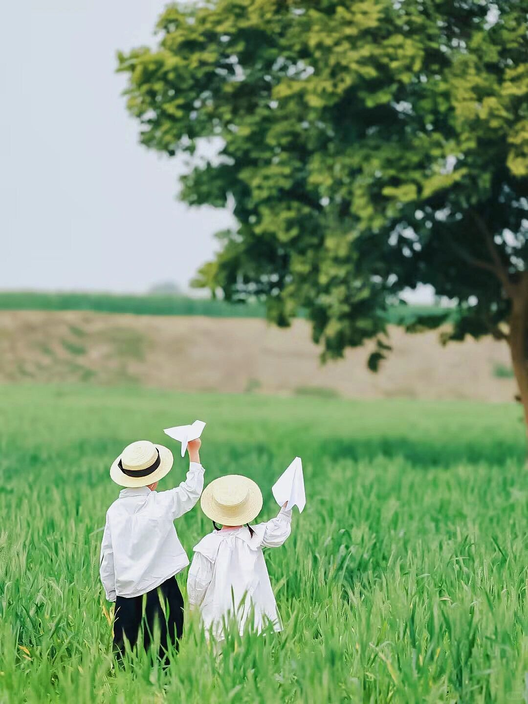 不用去大理！成都也有喜洲同款风吹麦浪🌾~