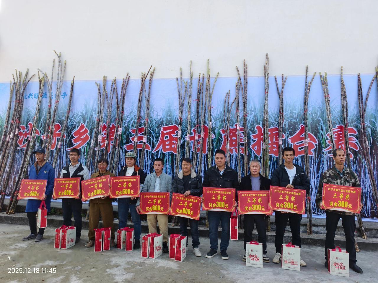 2025年12月18日融安县沙子乡在桐木村举办甘蔗擂台赛。