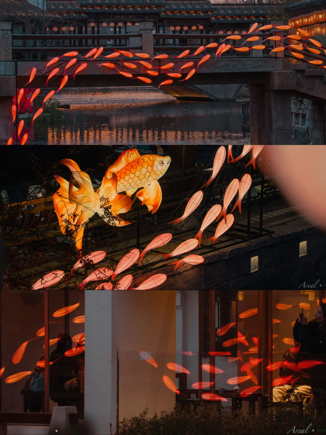 赏一场江南的年韵，从黄金时刻到蓝调时刻