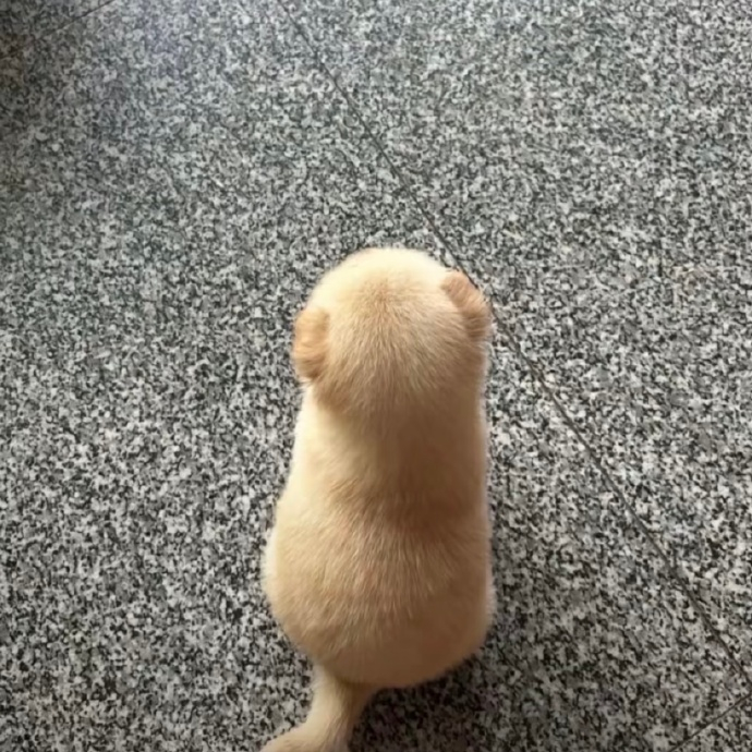 宝宝，你是一颗小小的土豆🥔 ​​​