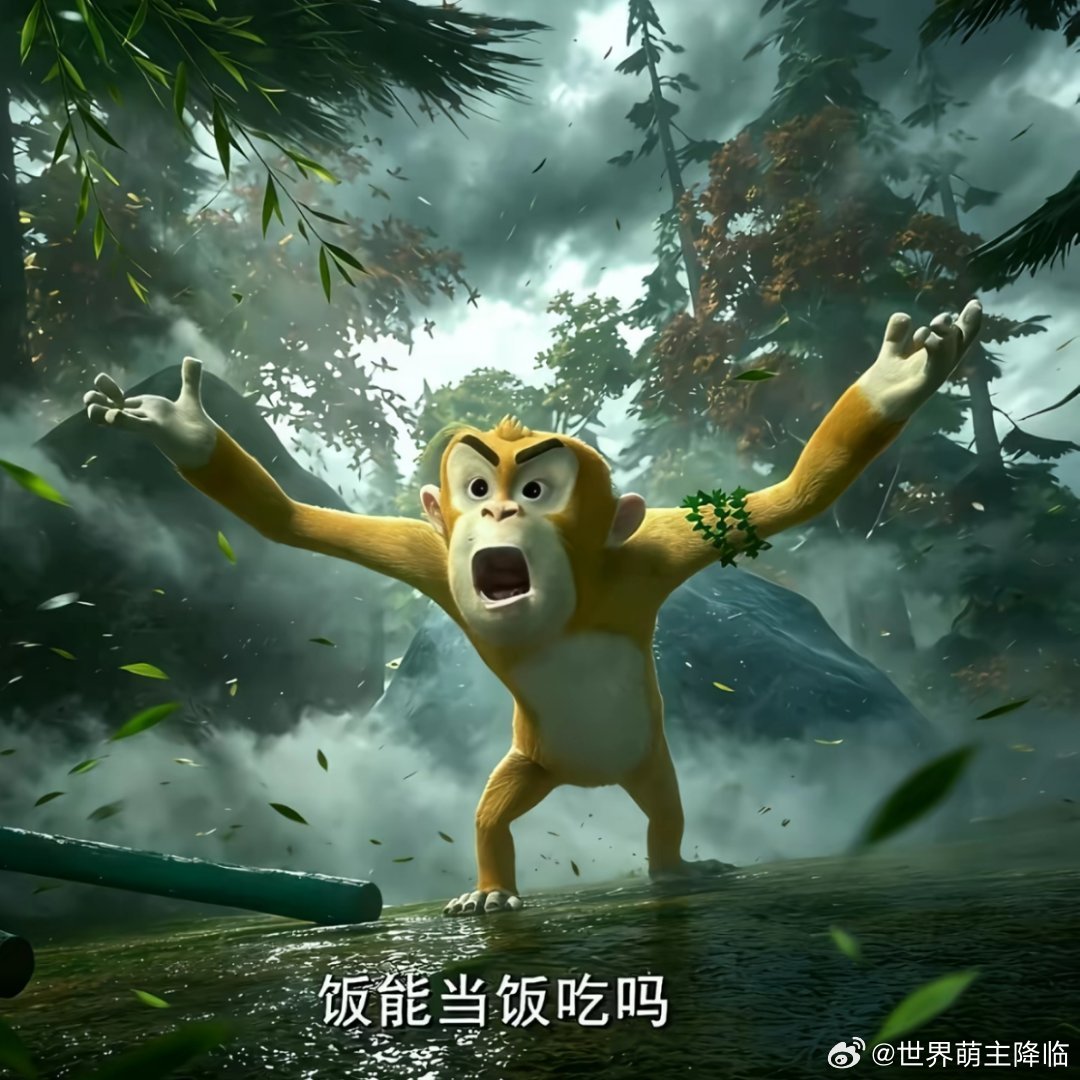 分享图片 ​​​