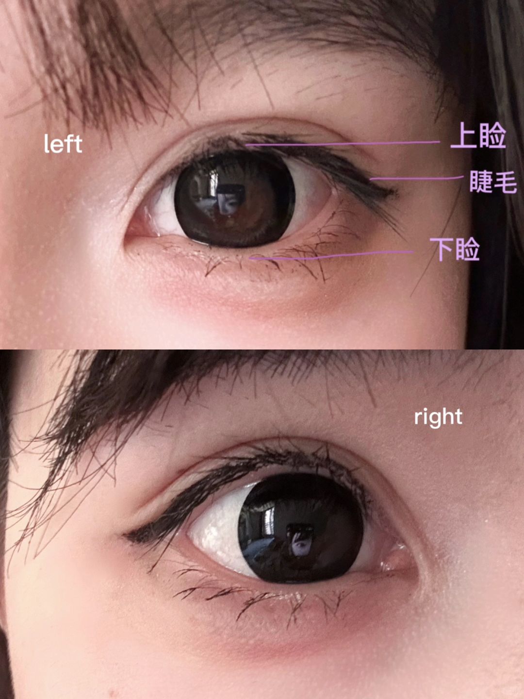 分享一下睫毛体验吧