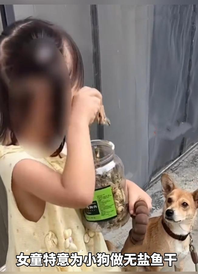 太暖心了！小女孩牢记狗狗不能吃盐，专门做无盐鱼干喂自家小狗。
 
8月14日，河