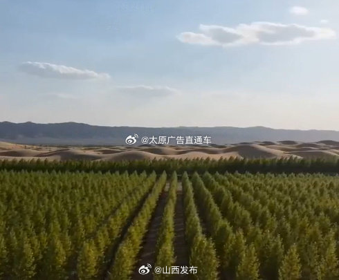 山西两部微视频入选全国展播名单   近日，记者从省林草局获悉，国家林草局科技司近