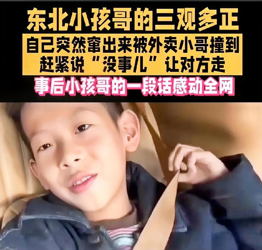 东北小孩哥的三观多正，被外卖小哥撞到后，小孩哥说了一段话，感动了全网。
他说:我