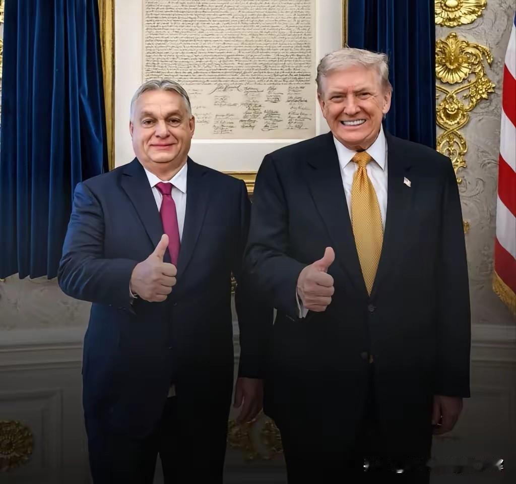 匈牙利要加入特朗普搞的“和平理事会”了！
 

美国总统特朗普向匈牙利总理欧尔班