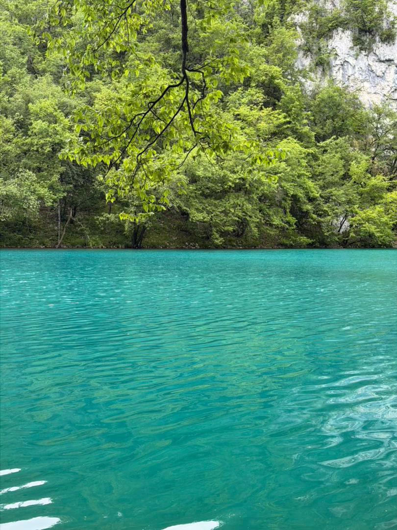 🇭🇷十六湖跟🖼️一样娜姐的夺冠旅行 克罗地亚·16湖國家公園/Plitvi