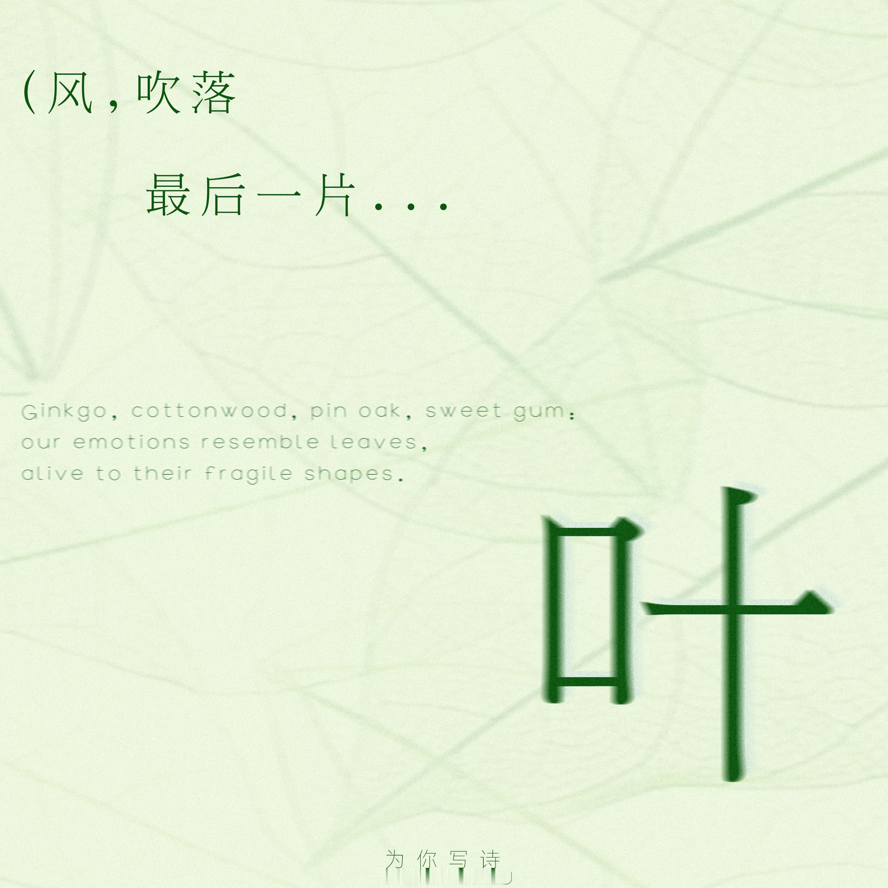 一叶串起古今中外诗行槐叶乡愁枯叶秋意每片叶子都藏独属于诗人的温柔：PoemsFo