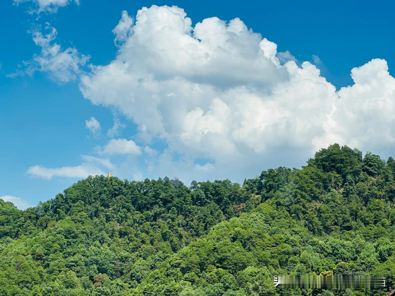 【重庆“棉花糖”白云美得不像话，甜化了】9月2日下午，大朵大朵的白云漂浮在南山风