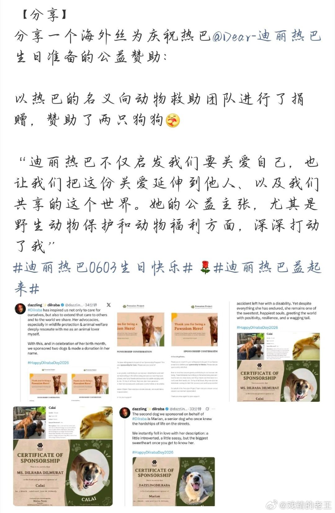 迪丽热巴生日公益应援迪丽热巴的海外粉丝们也好意义和有爱以救助帮助小动物的公益形式