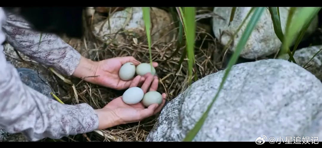 周也翟潇闻新剧是不是有点太扯了？ 