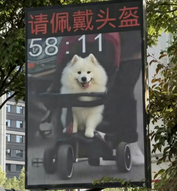 遭了……罚了20取币…… ​​​
