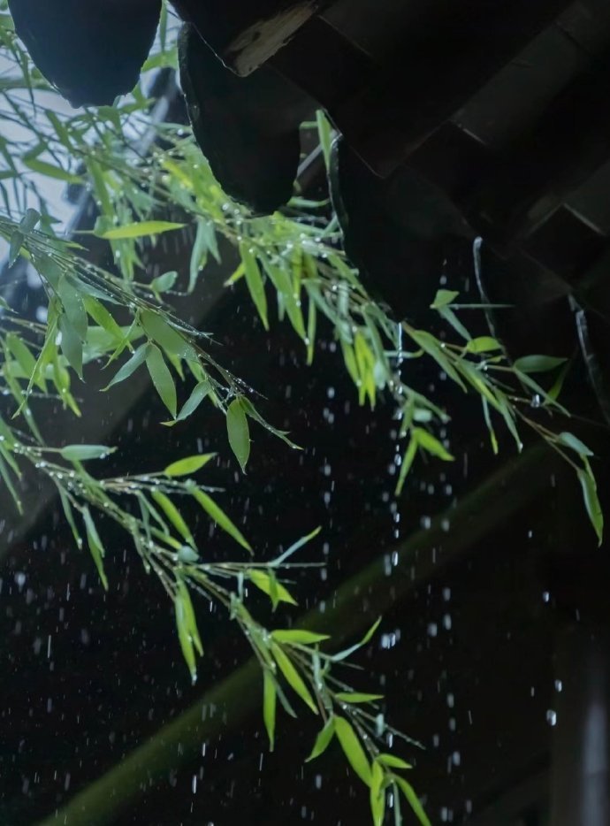 “  初秋微雨造轻寒 …  ” ​​​
