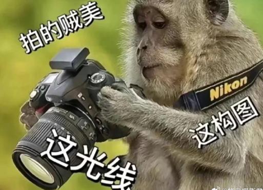 知道在海外，中国人多么容易被信任吗？

在任何一个旅游景点，如果外国人想拍照，首