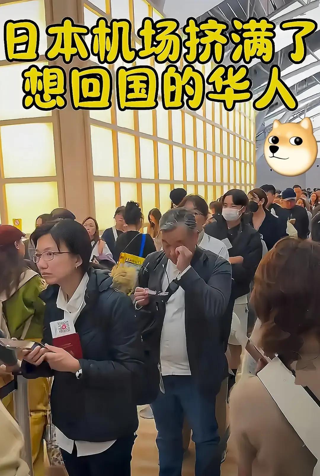 看着日本机场里那一堆堆的同胞，一个个面如土色，不知道的还以为是去哪受难了。说实话