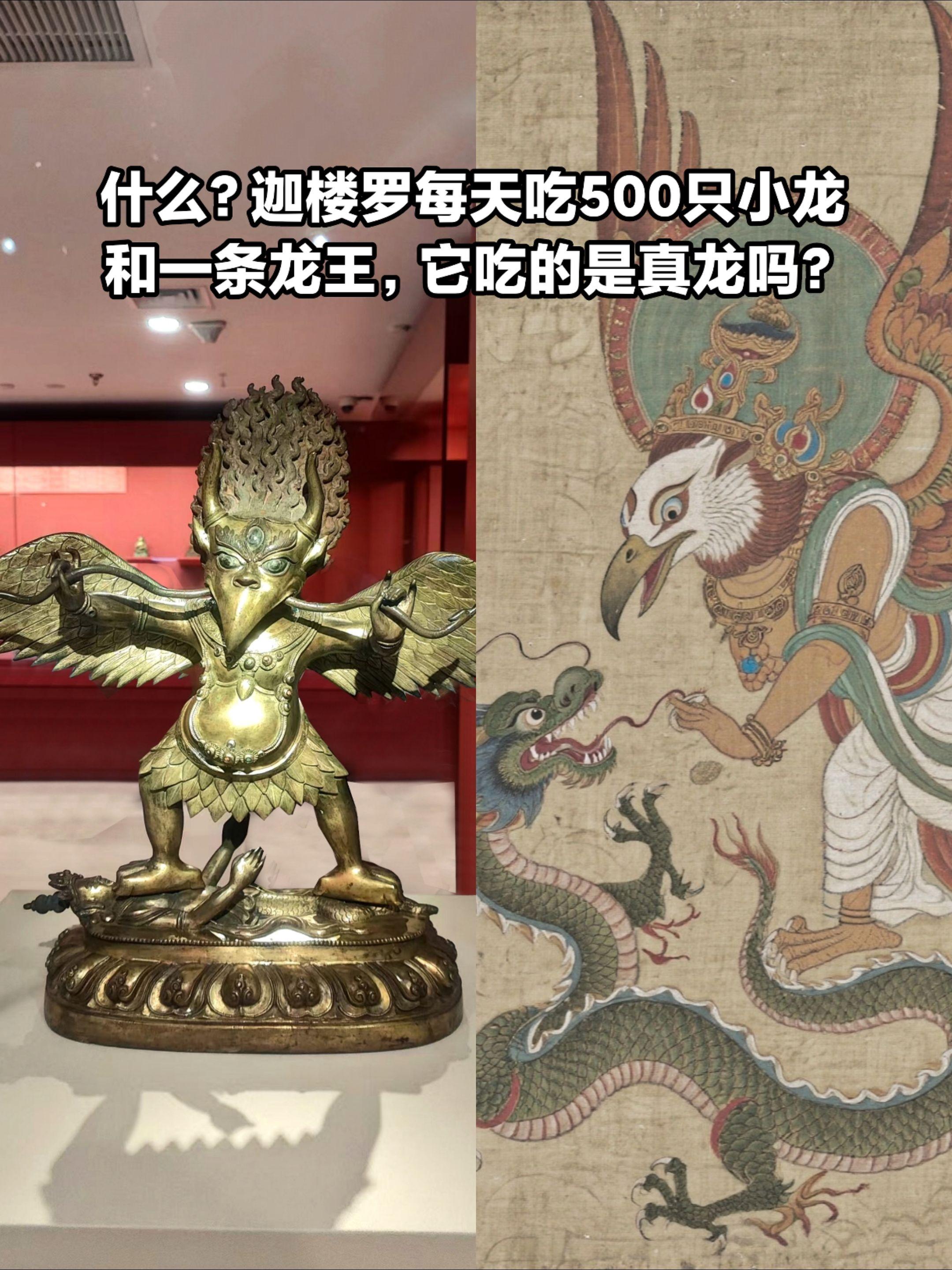 什么？迦楼罗每天吃一条龙王和500条小龙。