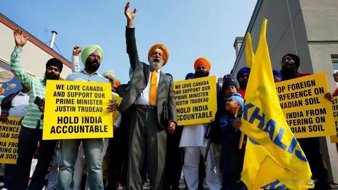印度移民“驱逐”加拿大白人“滚回欧洲”的新闻，是一年前发生的荒唐事件，最终原因还
