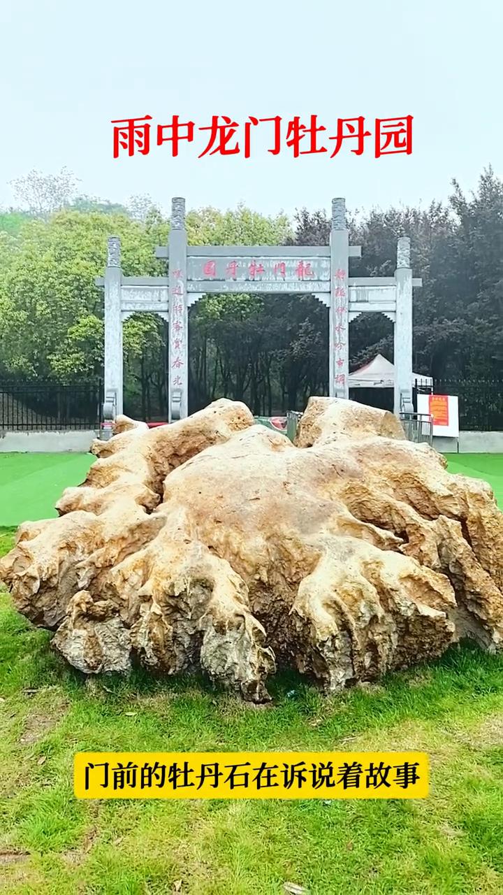 雨中龙门牡丹园。
门前的牡丹石在诉说着故事。