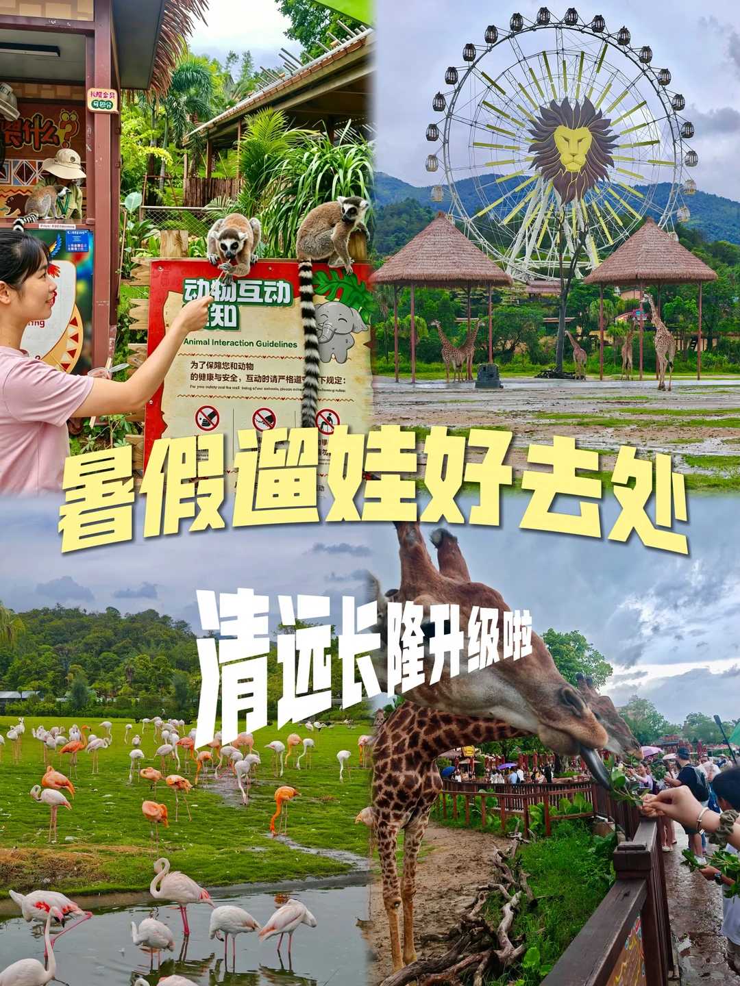 清远长隆杀疯了！暑期新设备+动物贴贴太上头