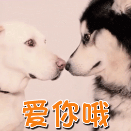 森林北否认与汪峰分手我峰哥终于又上了热搜…祝百年好合！ 