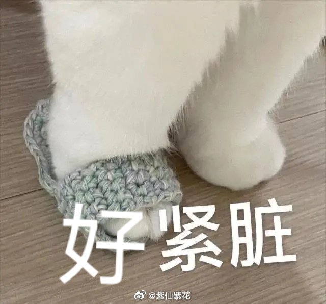 好紧张好激动山神保佑杨紫