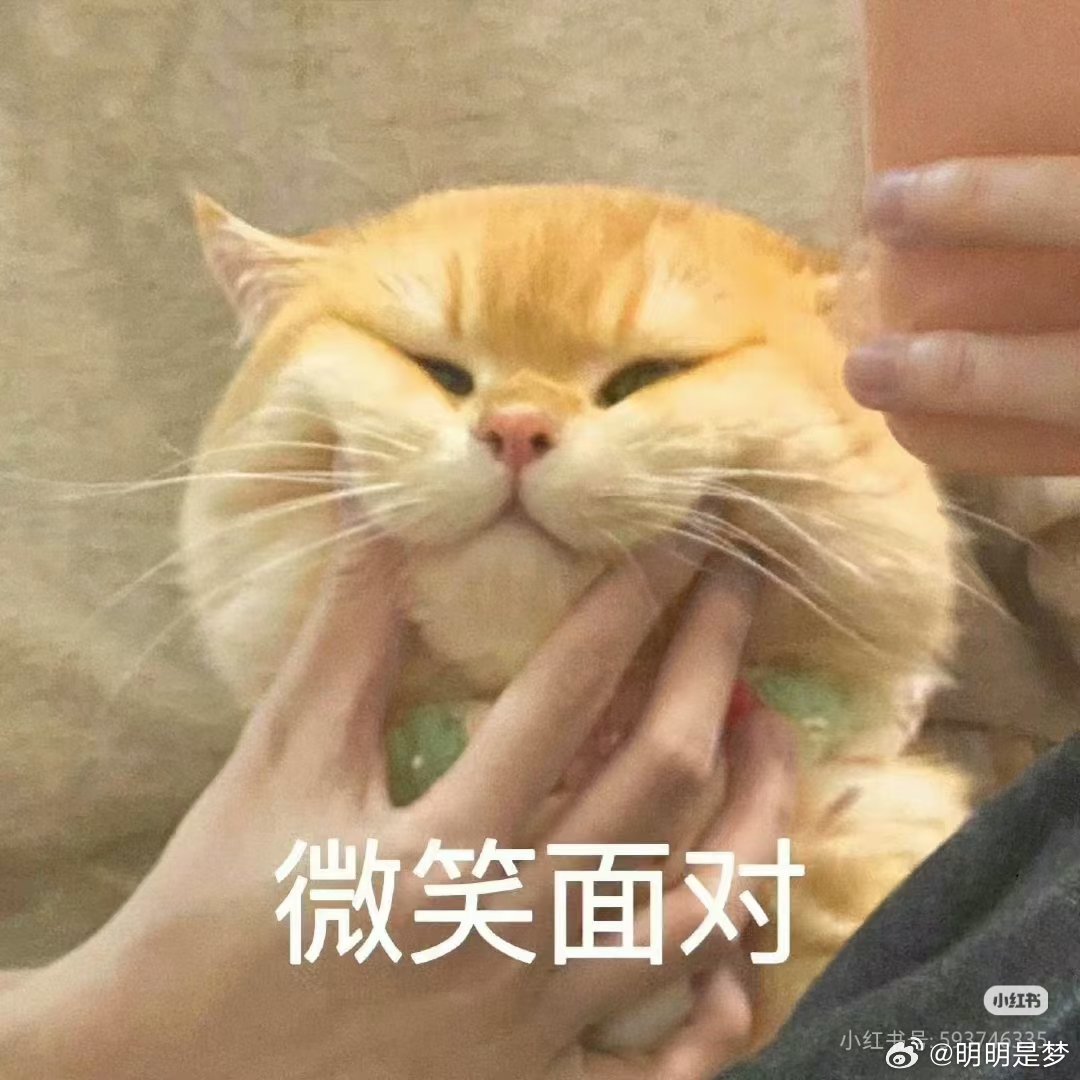 剧宣期的轮博女工们.......be like： 
