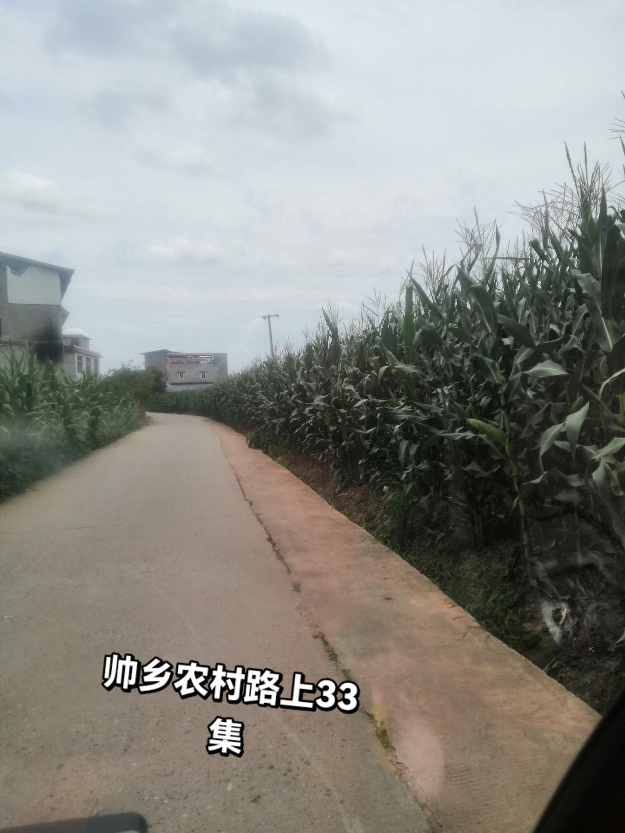 去陈毅故乡的路上：