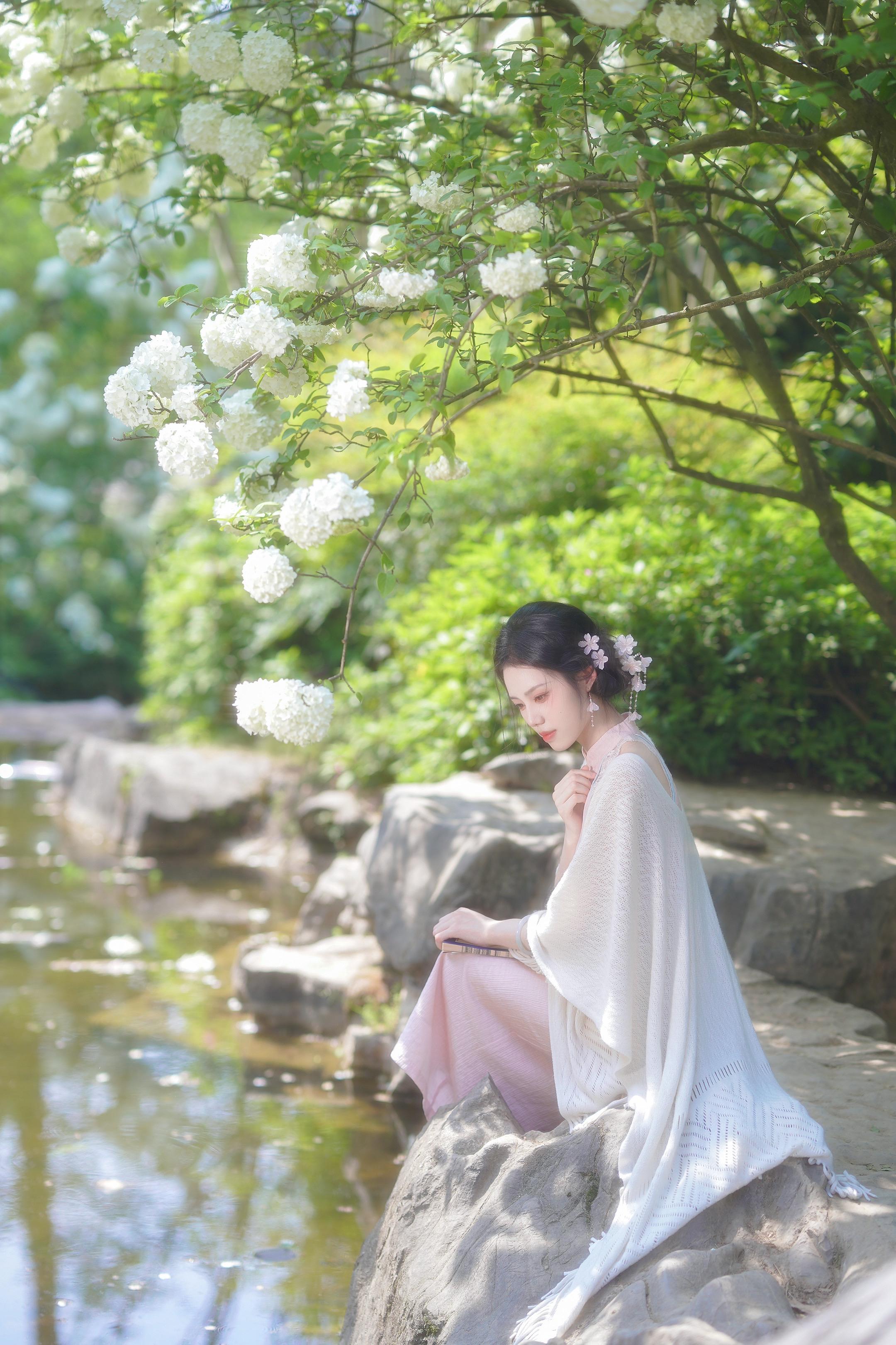 遗忘在木绣球的春天里！