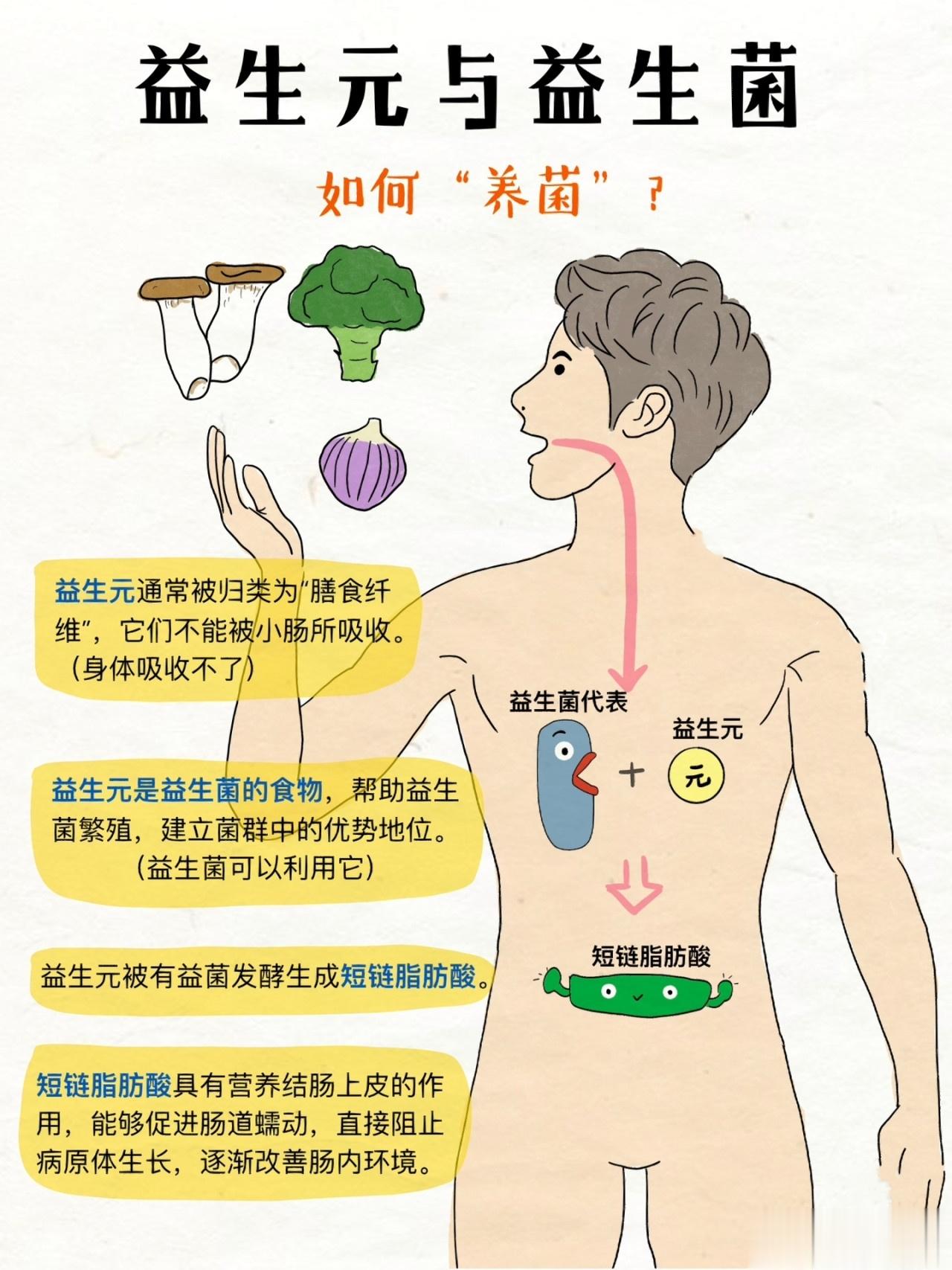 #世界肠道健康日# ⚠️益生菌怎么选怎么补？[心]最好选择复合型益生菌产品,也就