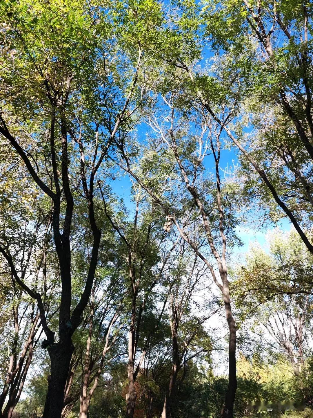 只有走完那些必须走的路，才能过上你想要的生活，只有熬过无人问津的日子，才能拥抱属