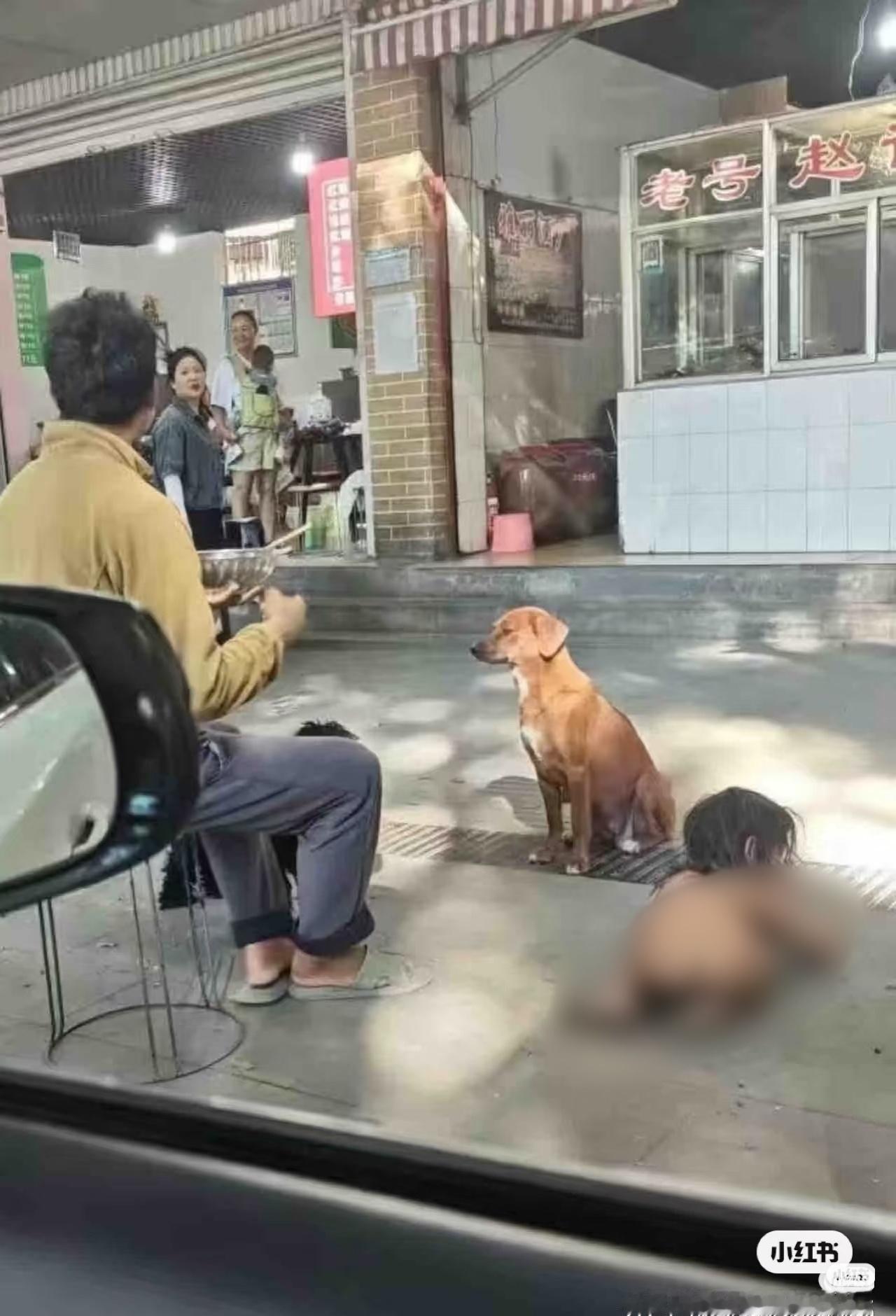 野人小孩没有户口终于上热搜了，“这个在服务区趴地进食的孩子，他所需要的不是猎奇的