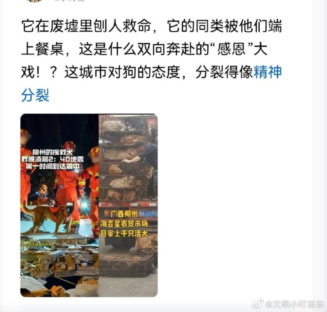 救的人数，还不及它的同类每年伤人数的一个零头。它的同类每天都在社区里扰民、排泄。