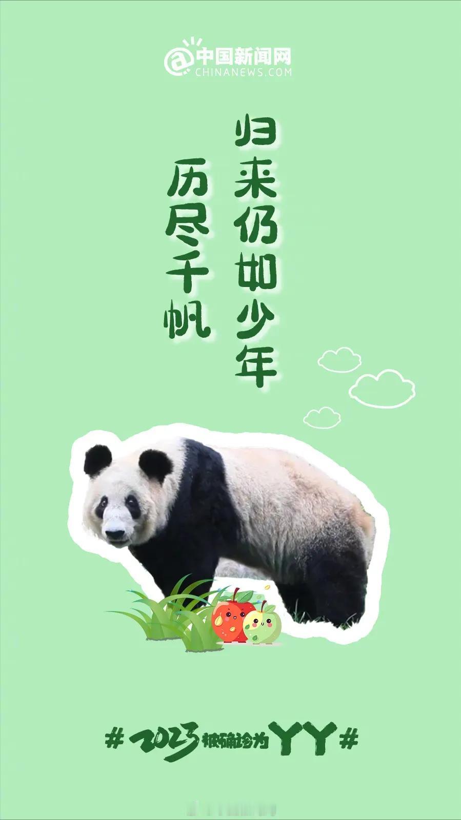 ---
丫丫，一只令人着迷的大熊猫，于2000年8月3日在北京动物园降生。她的生