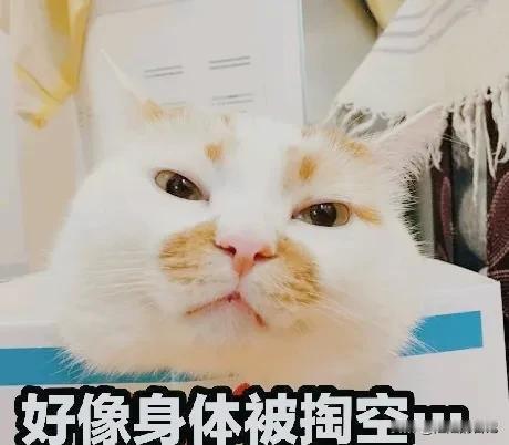 有没有发现一个人如果待在家里久了，就不愿意动去接触新事物了。

宁愿每天浑浑噩噩