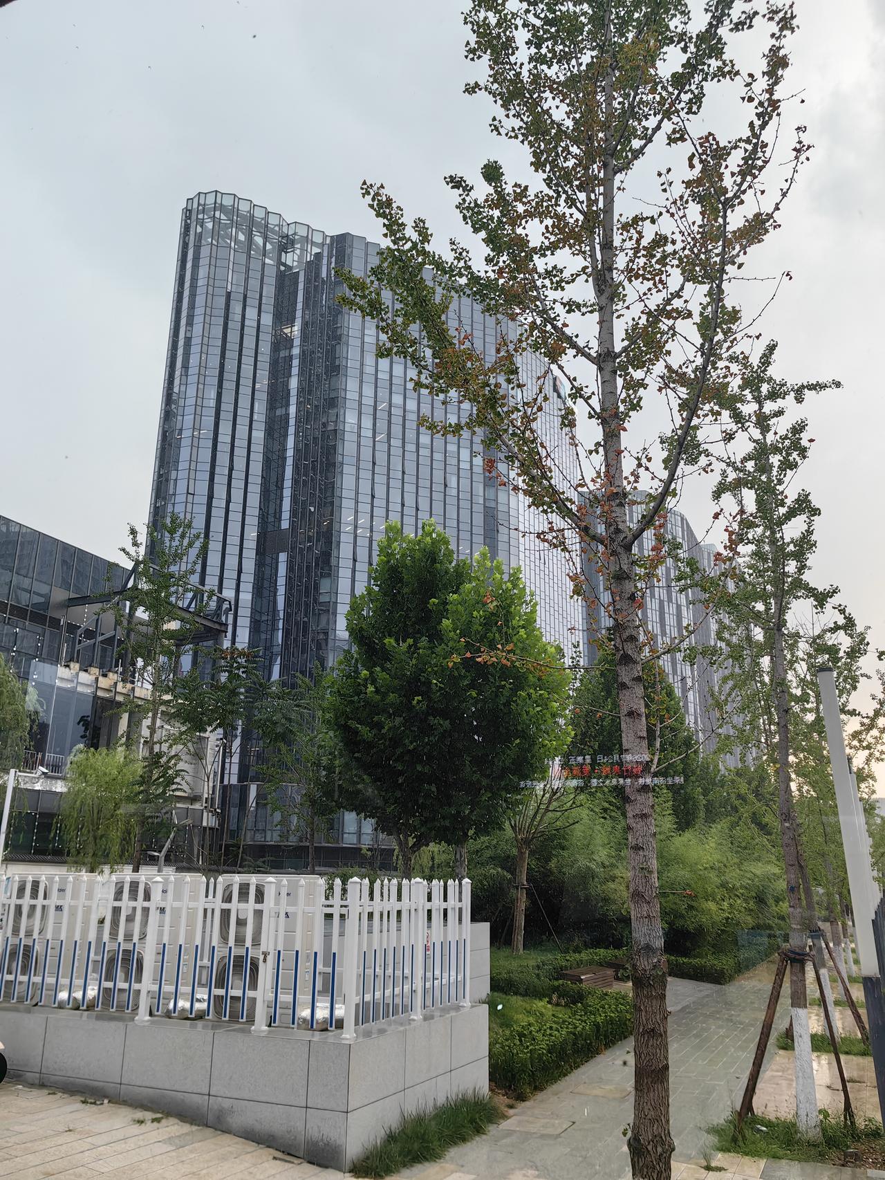 济南中央商务区的带状公园，雨中即景[比心][比心][比心]