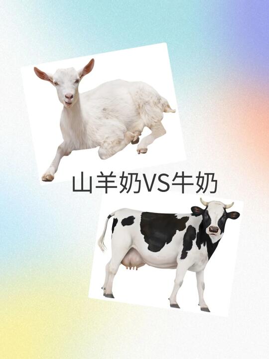 羊奶和牛奶的世纪大PK！到底哪个更营养？
